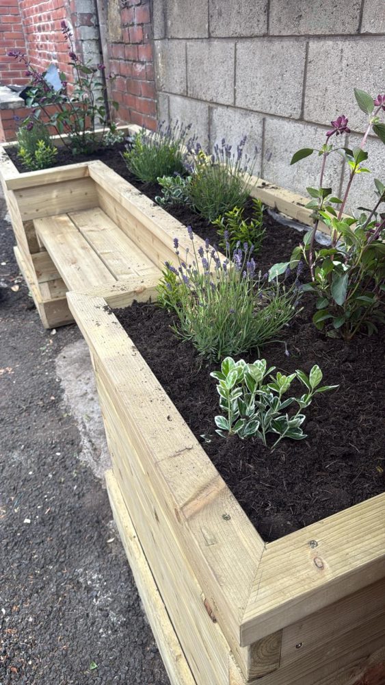 Wooden planter boxes with lavender and leafy plants placed against a brick wall in a transformed alleyway.