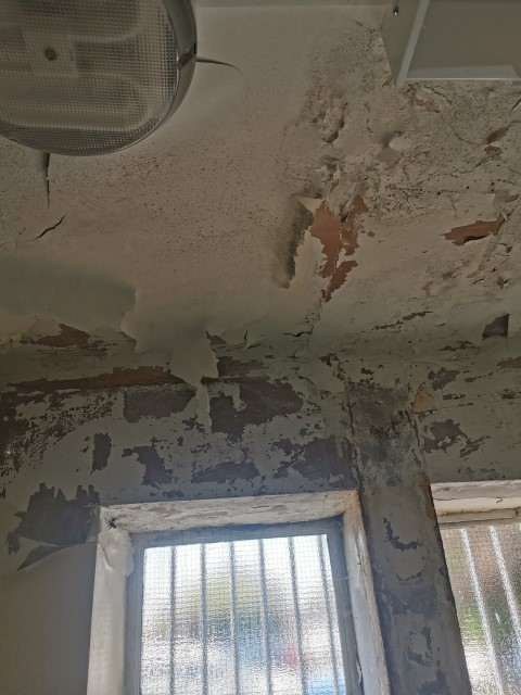 Close-up of a damaged ceiling and wall with extensive peeling paint and plaster, exposing underlying material. Two barred windows are visible, and a ceiling light fixture is mounted above. The surface shows signs of damp and deterioration.